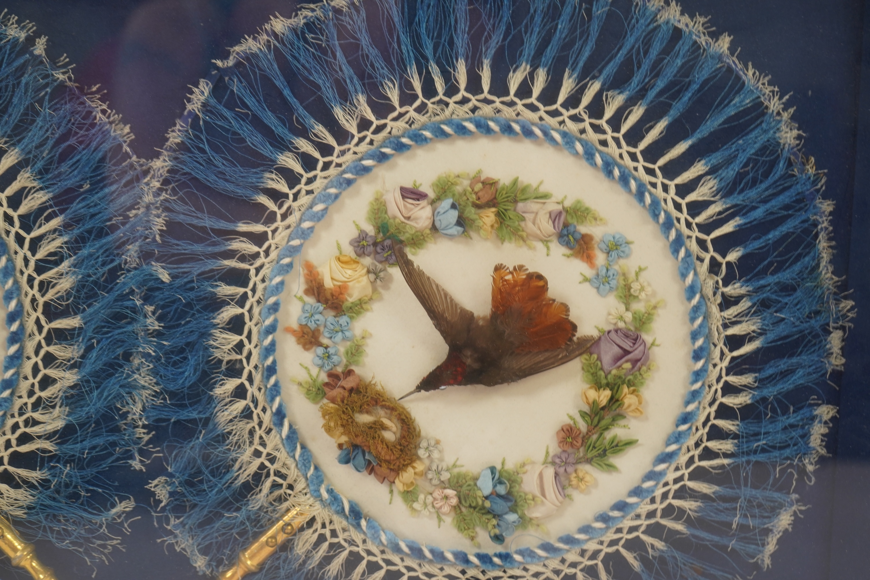 A pair of framed exotic Regency taxidermy hummingbird face fans